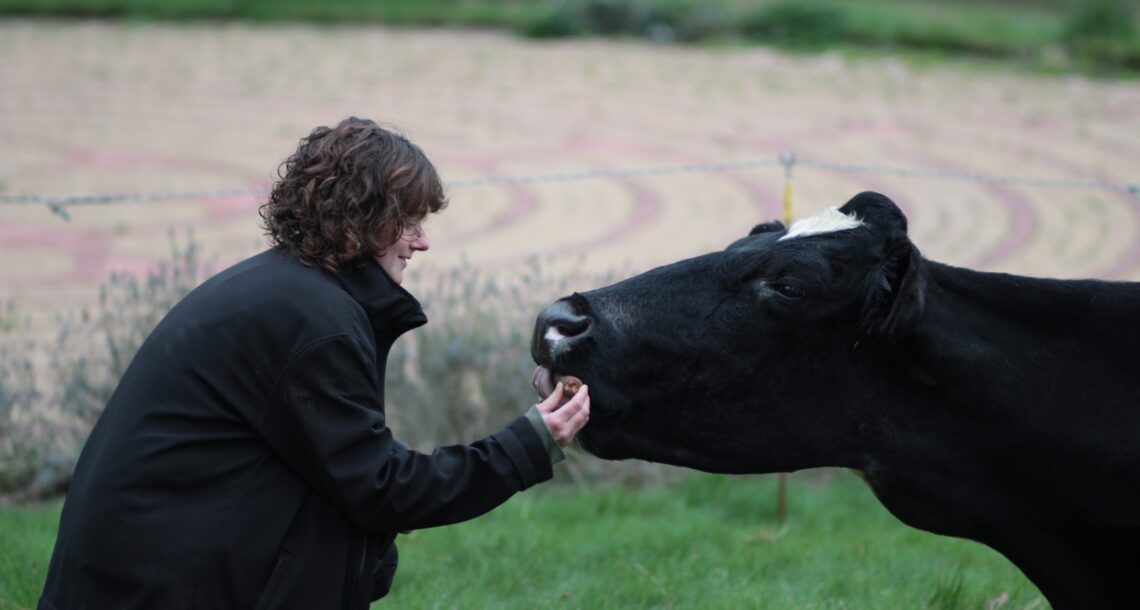 Sophie brings carrots to Tilly