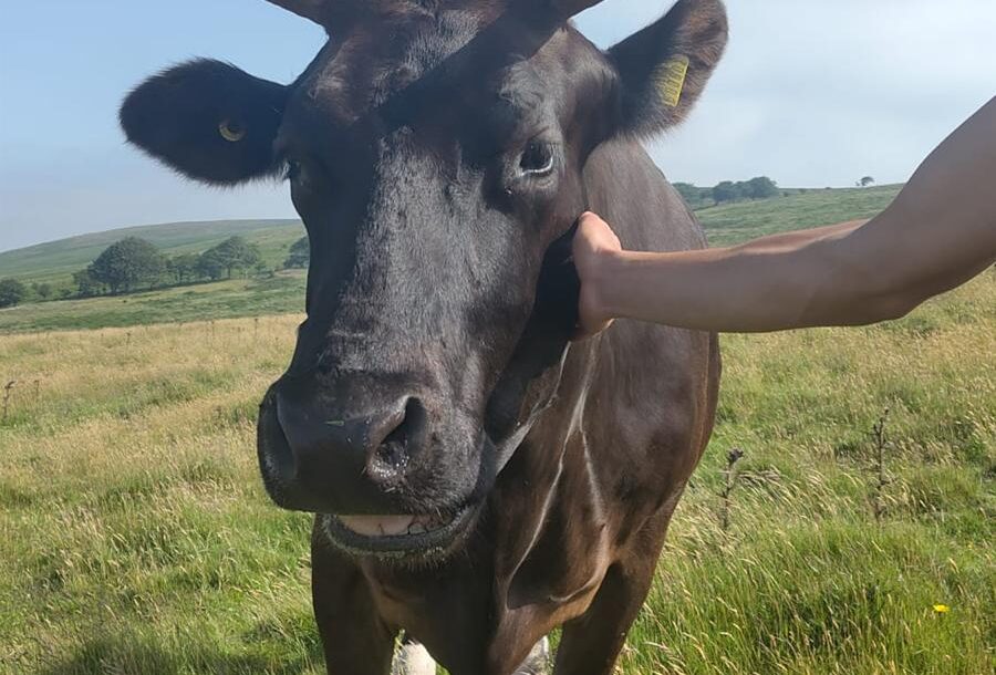 A cheeky cheek scratch for Cocoa